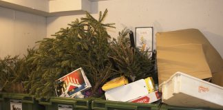 Julen ut tjugondag Knut