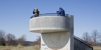 Fågelskådning Vårbergstoppen
